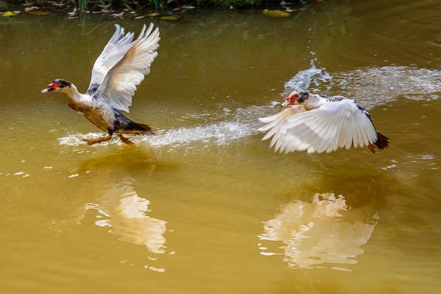 Pousada Luar Do Sertao Valenca  Exteriér fotografie